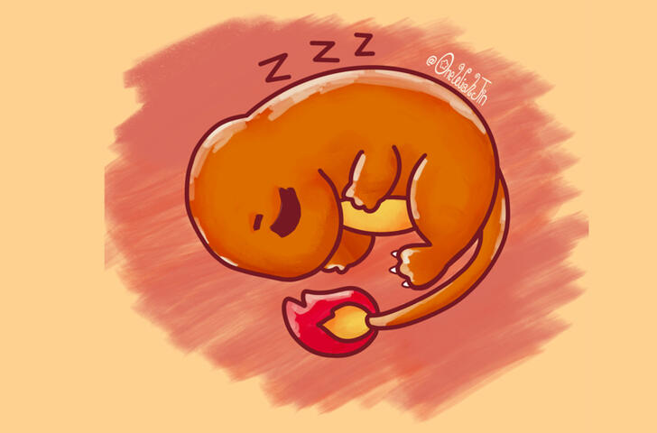 Sleepy Charmander Fanart